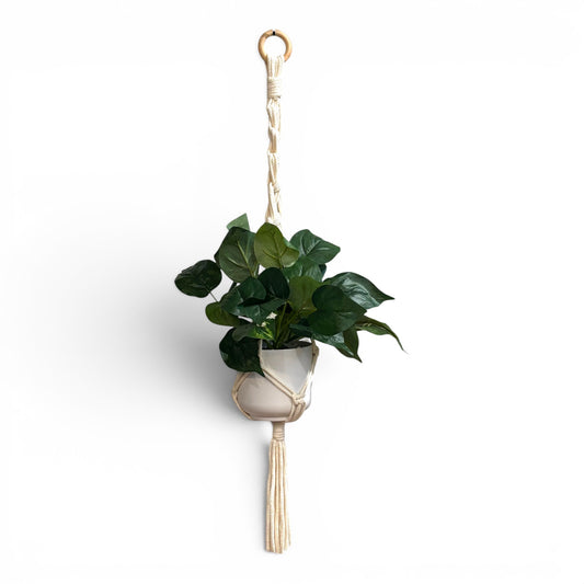 Tube Knot Plant Hanger | Coastal Artisan Decor | Odd Cod Studio