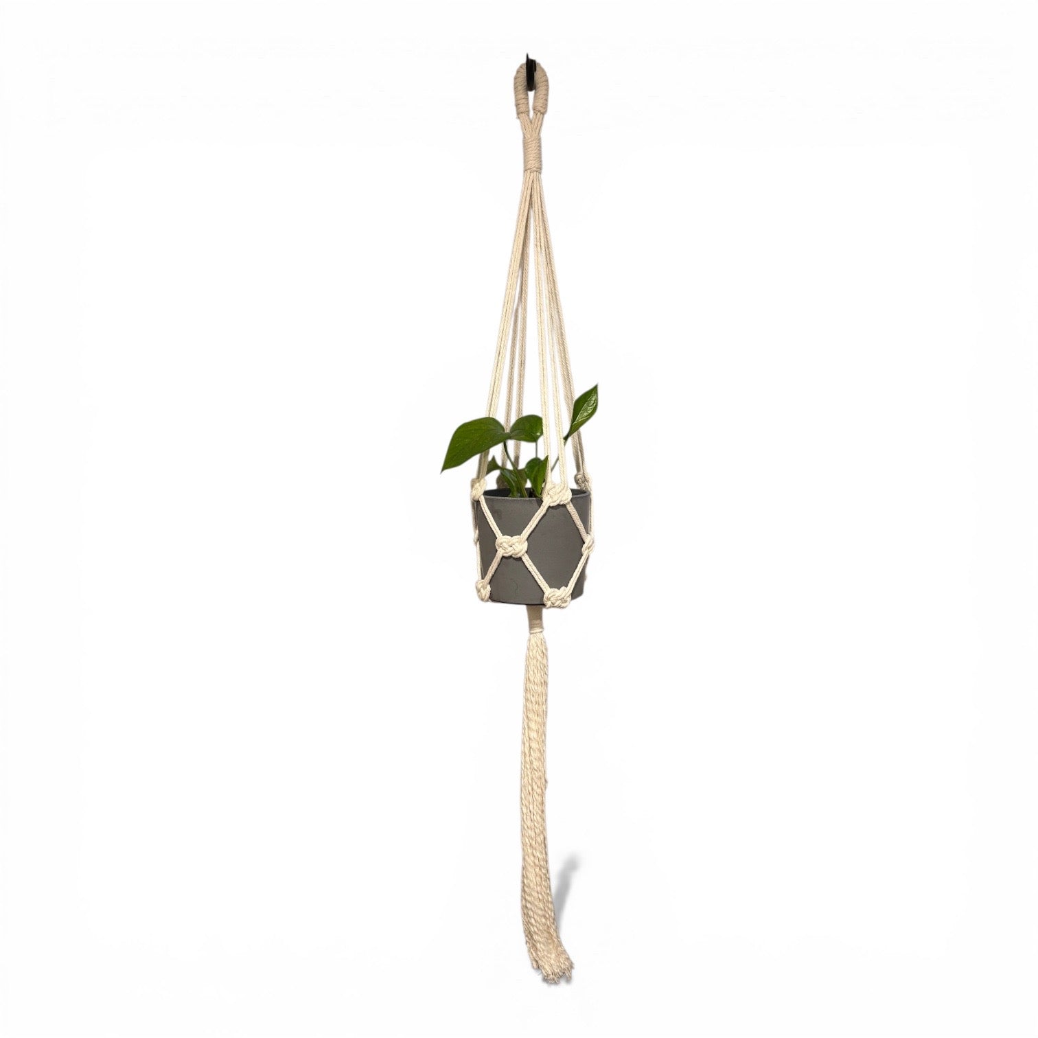 Macrame plant hanger with a plant on a white background
